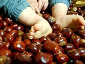 Pädagogisches Konzept Tagesmutter Rösrath